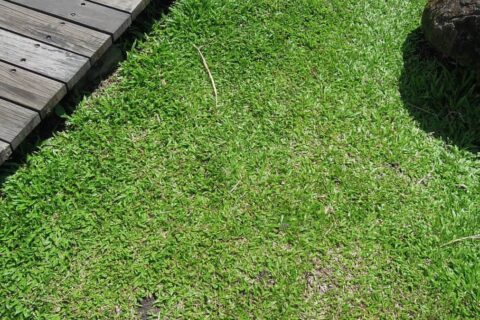 Landscaping Contractors Bagshot