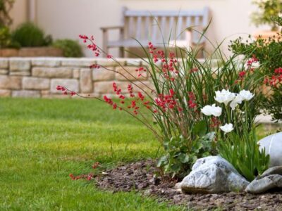 Garden landscape Woking
