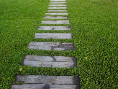 Pathway installers near me Woking