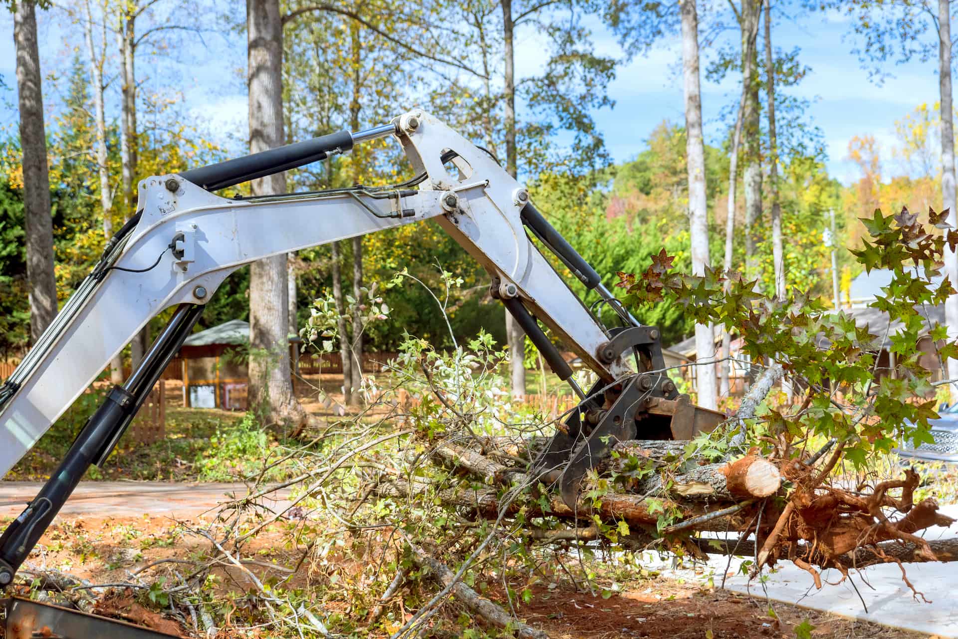 Site clearance company near Woking