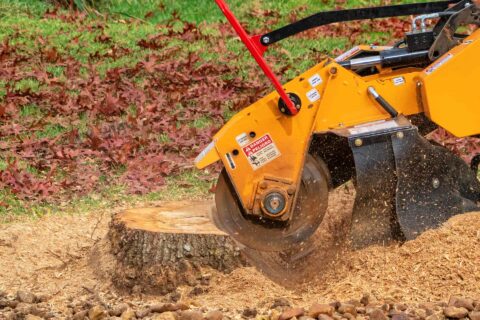 Tree Stump Grinding Services Woking